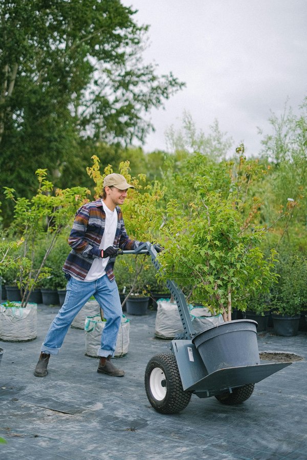Votre jardin idéal avec un paysagiste à bry-sur-marne